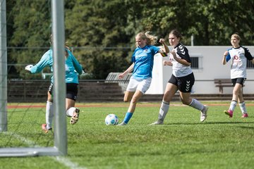 Bild 174 - wBJ VfL Pinneberg - Germania Schnelsen : Ergebnis: 15:1